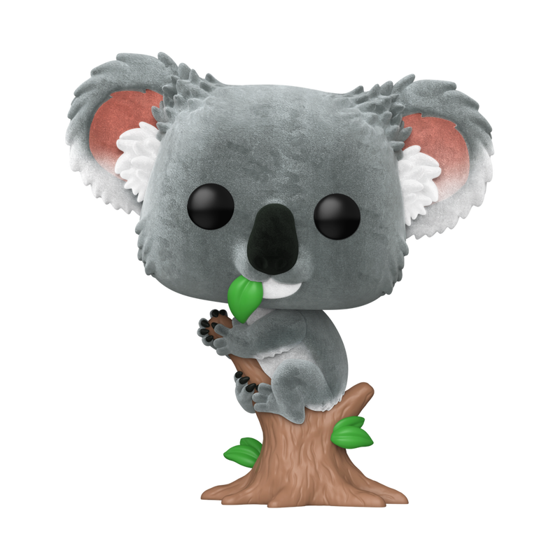 94005_AustralianAnimals_Koala_POP_GLAM-WEB-1